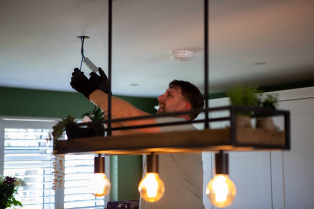 Best Electric Panel Repair  in Palos Heights, IL